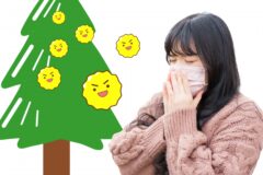 花粉症イメージ