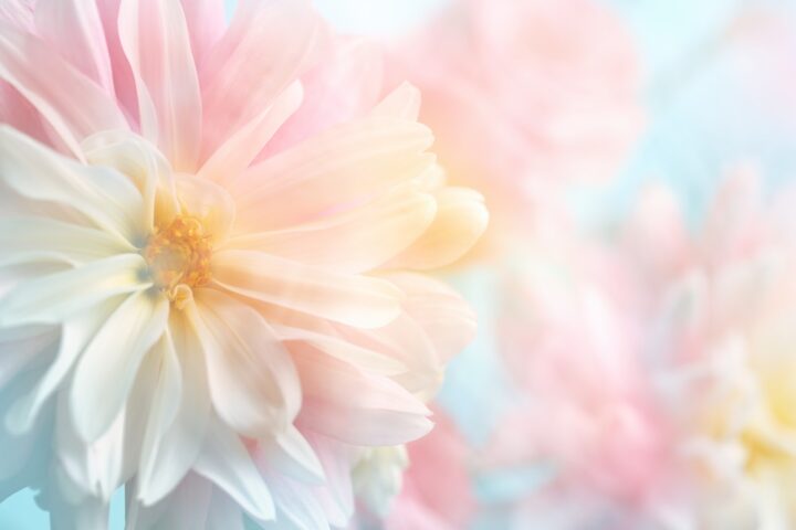 浦和で花粉症治療|薬が効かない方へ舌下免疫療法対応【若山医院】の画像