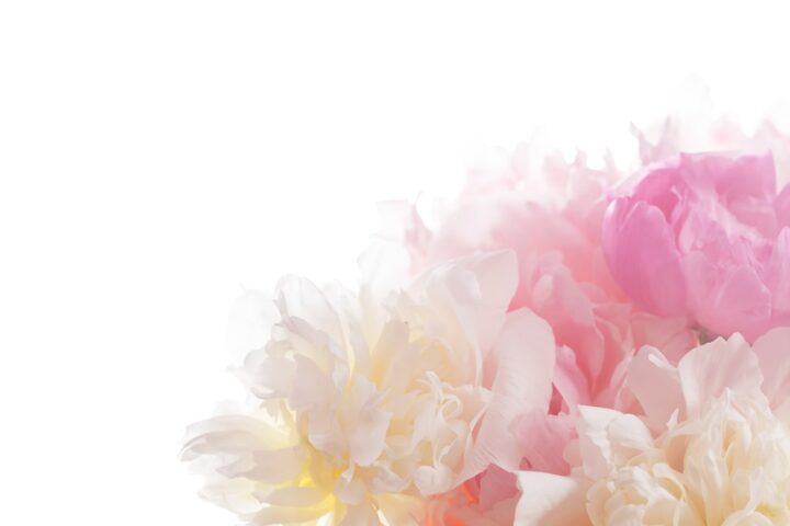 舌下免疫療法｜浦和で花粉症・ダニアレルギーの根本治療【若山医院】の画像